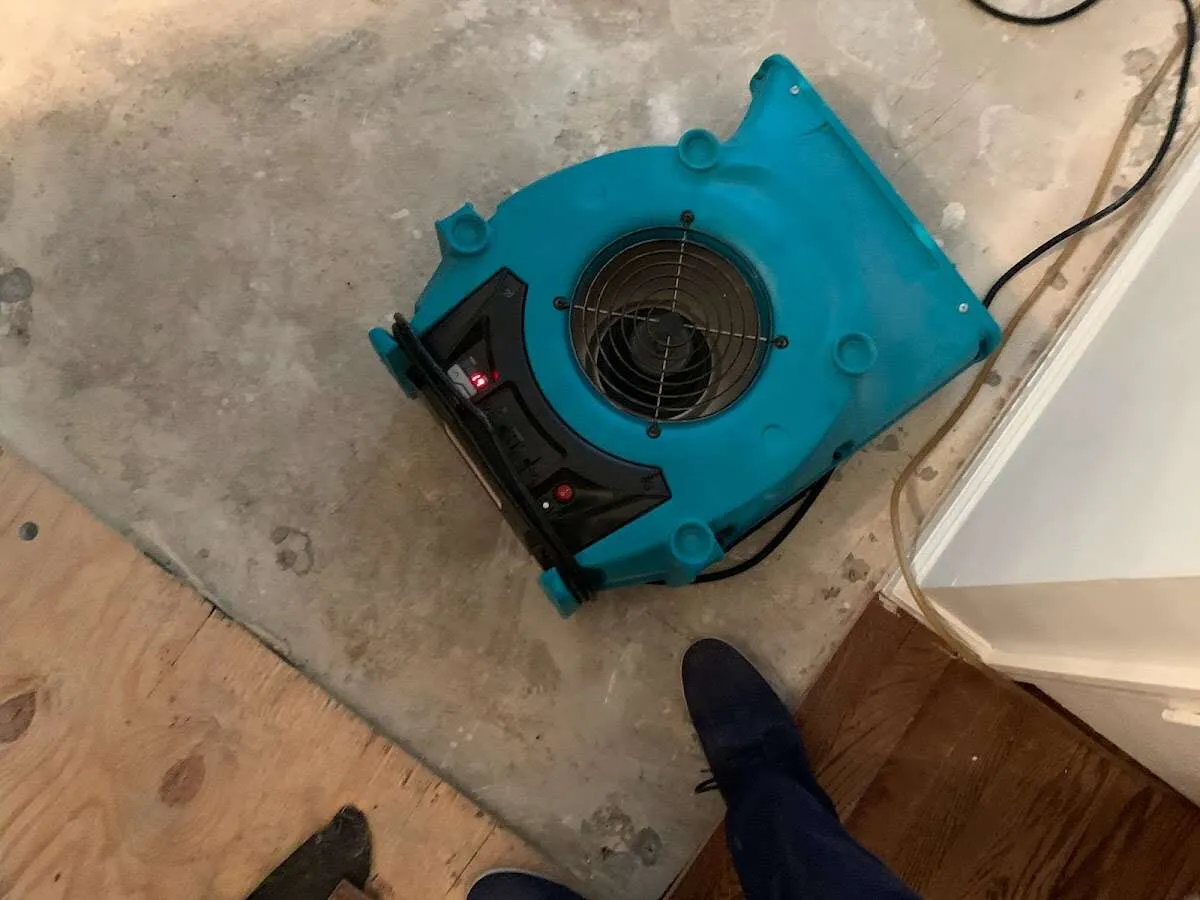 Air mover drying subfloor during Leak Detection & Repair in Mountlake Terrace